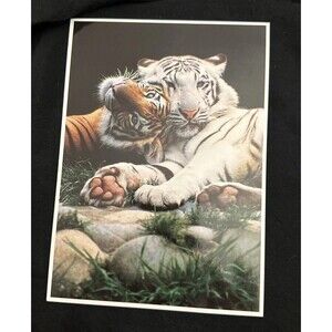 Vintage Exotic Wildlife Postcard #11008 – Tiger “Lean on a Friend” – Unposted